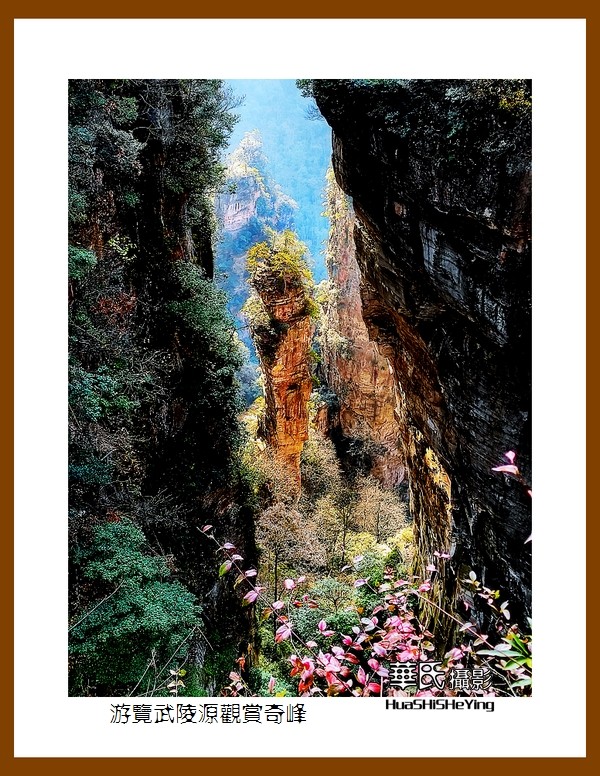 2021南行慢游（湖南180）—游览武陵源观赏奇峰之十三（张家界）