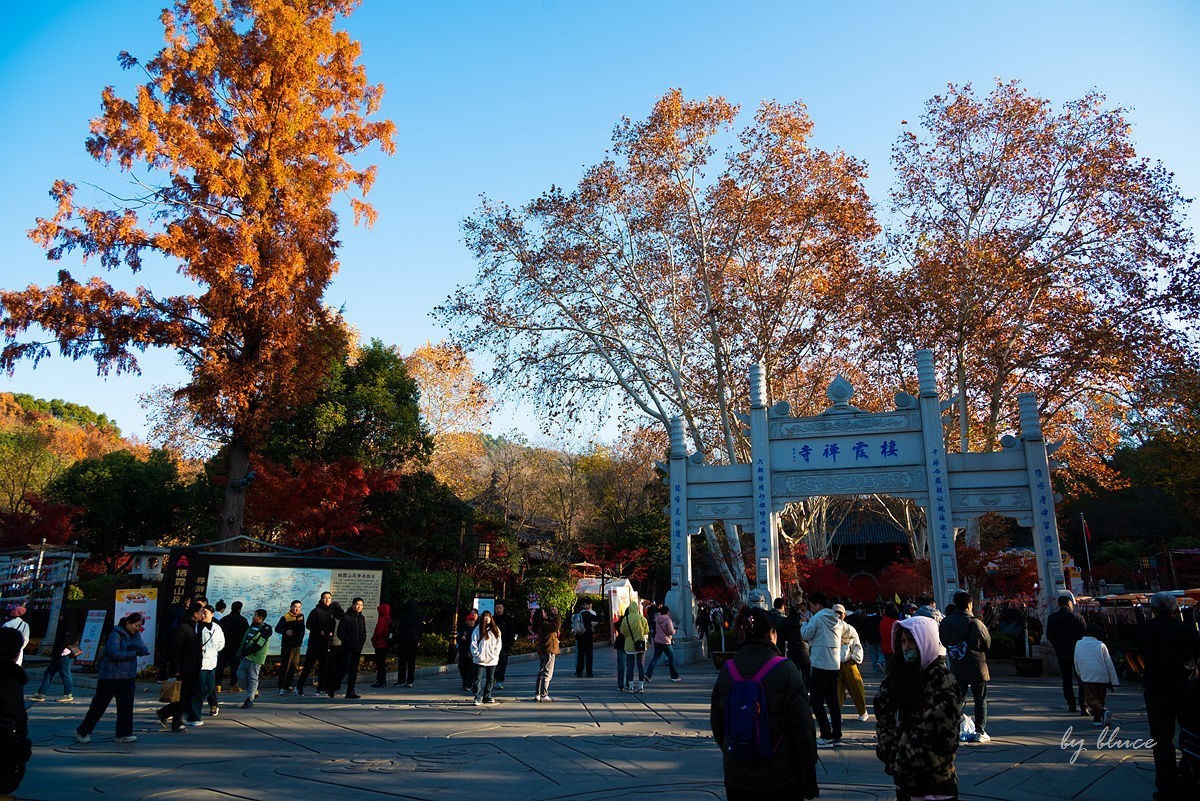 栖霞红枫盛（一）