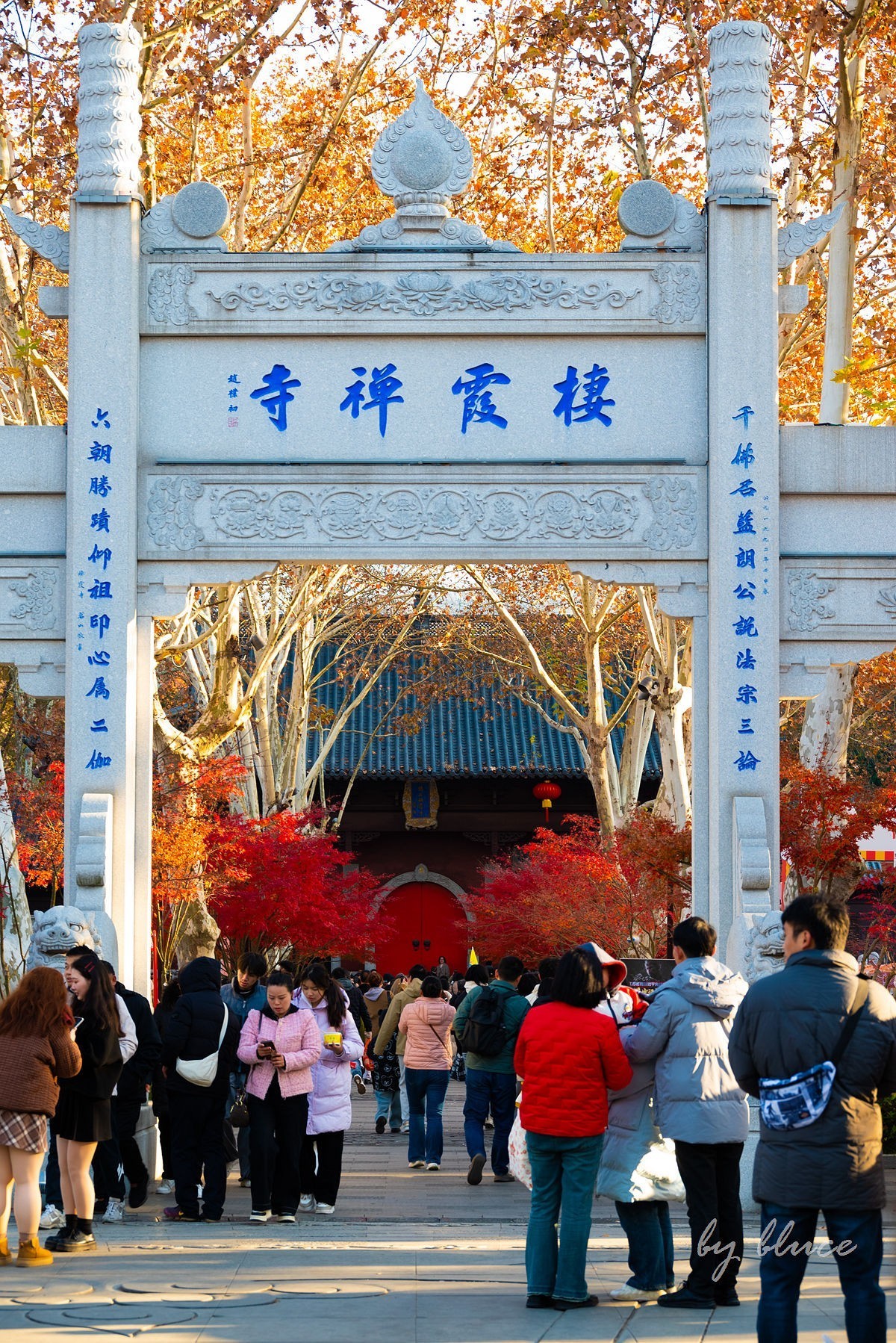 栖霞红枫盛（一）