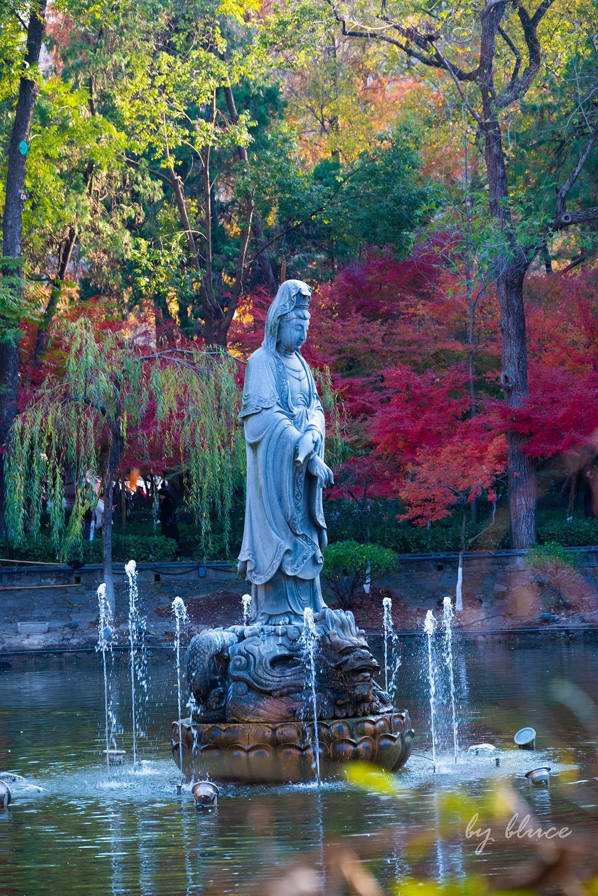 栖霞红枫盛（一）