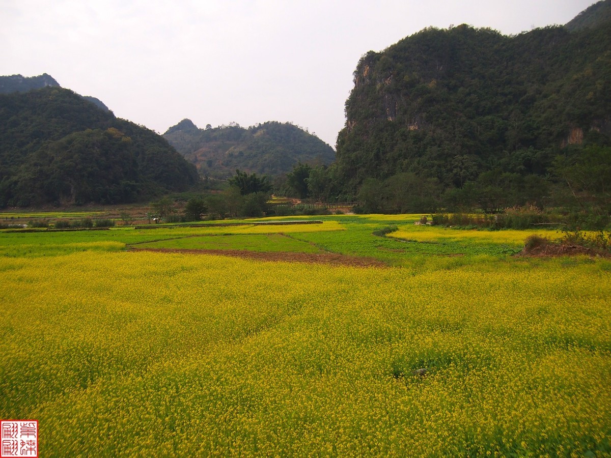 2023.12.22坝美随拍（12）