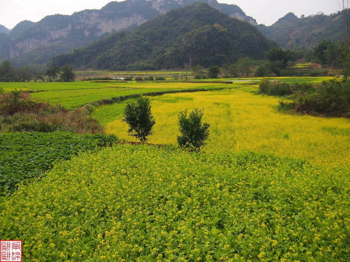 2023.12.22坝美随拍（12）