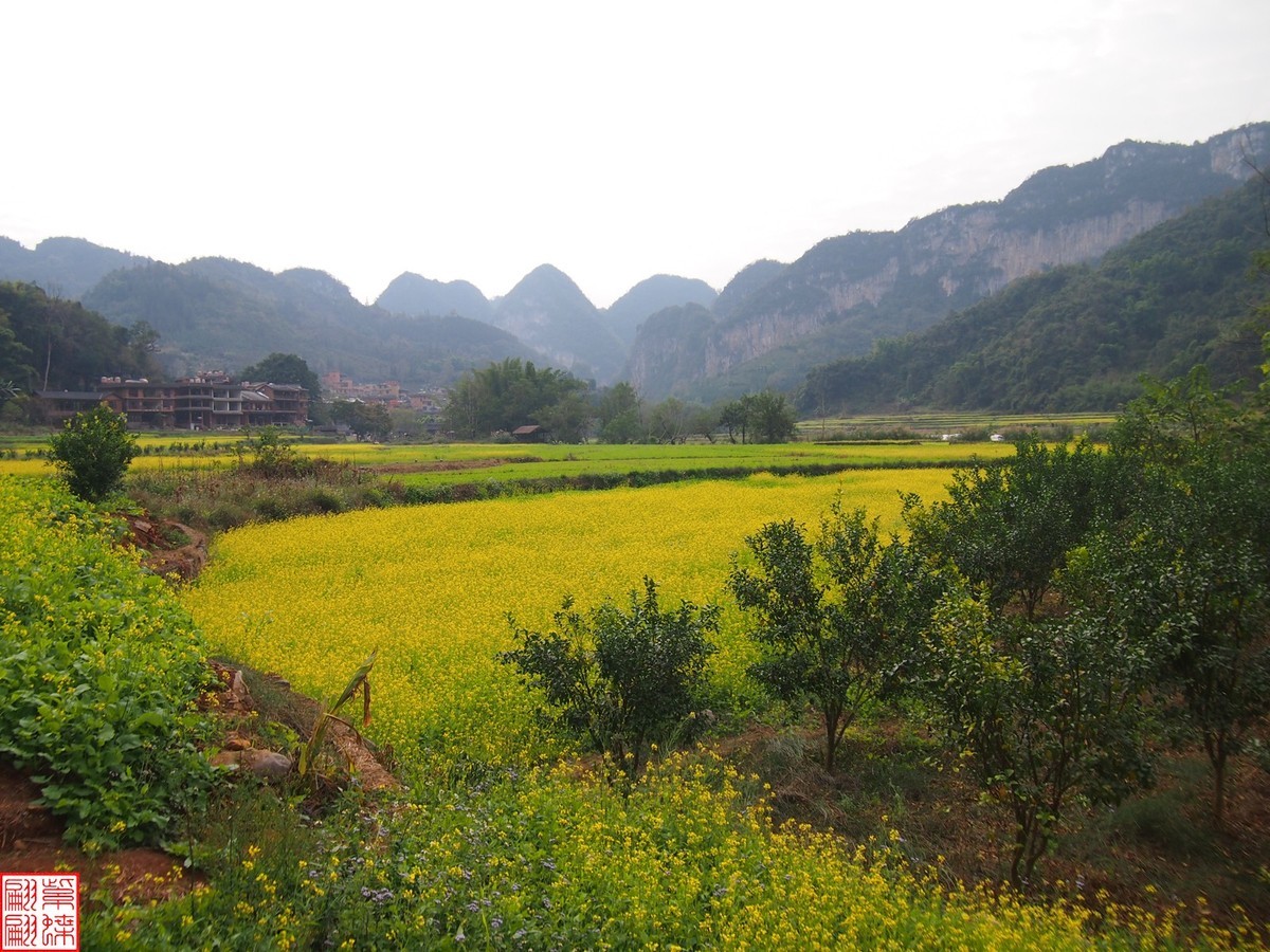 2023.12.22坝美随拍（12）