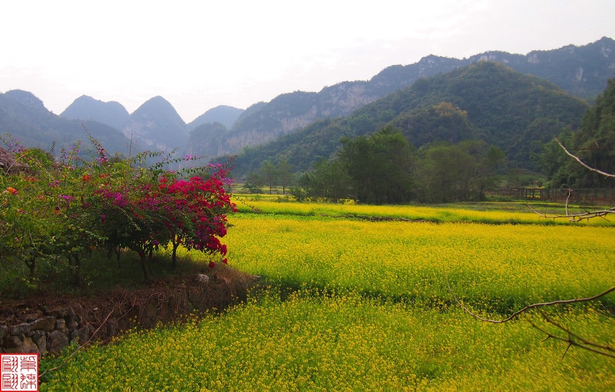 2023.12.22坝美随拍（12）