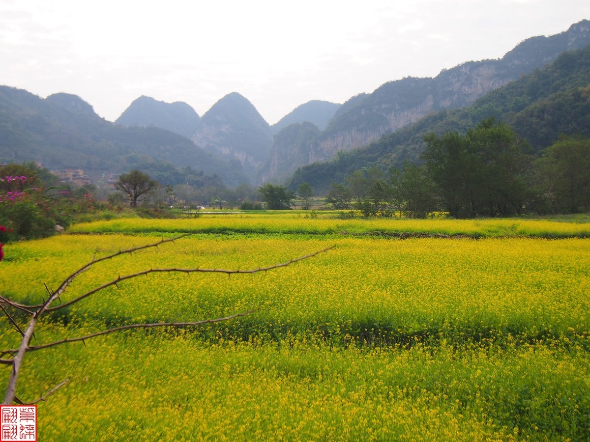 2023.12.22坝美随拍（12）