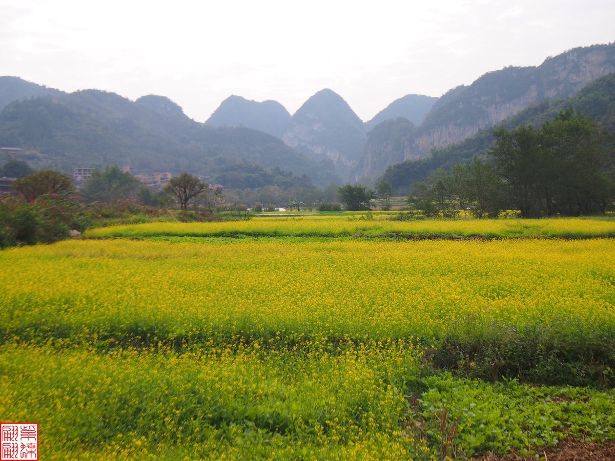 2023.12.22坝美随拍（12）