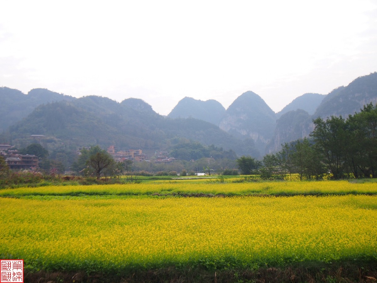 2023.12.22坝美随拍（12）