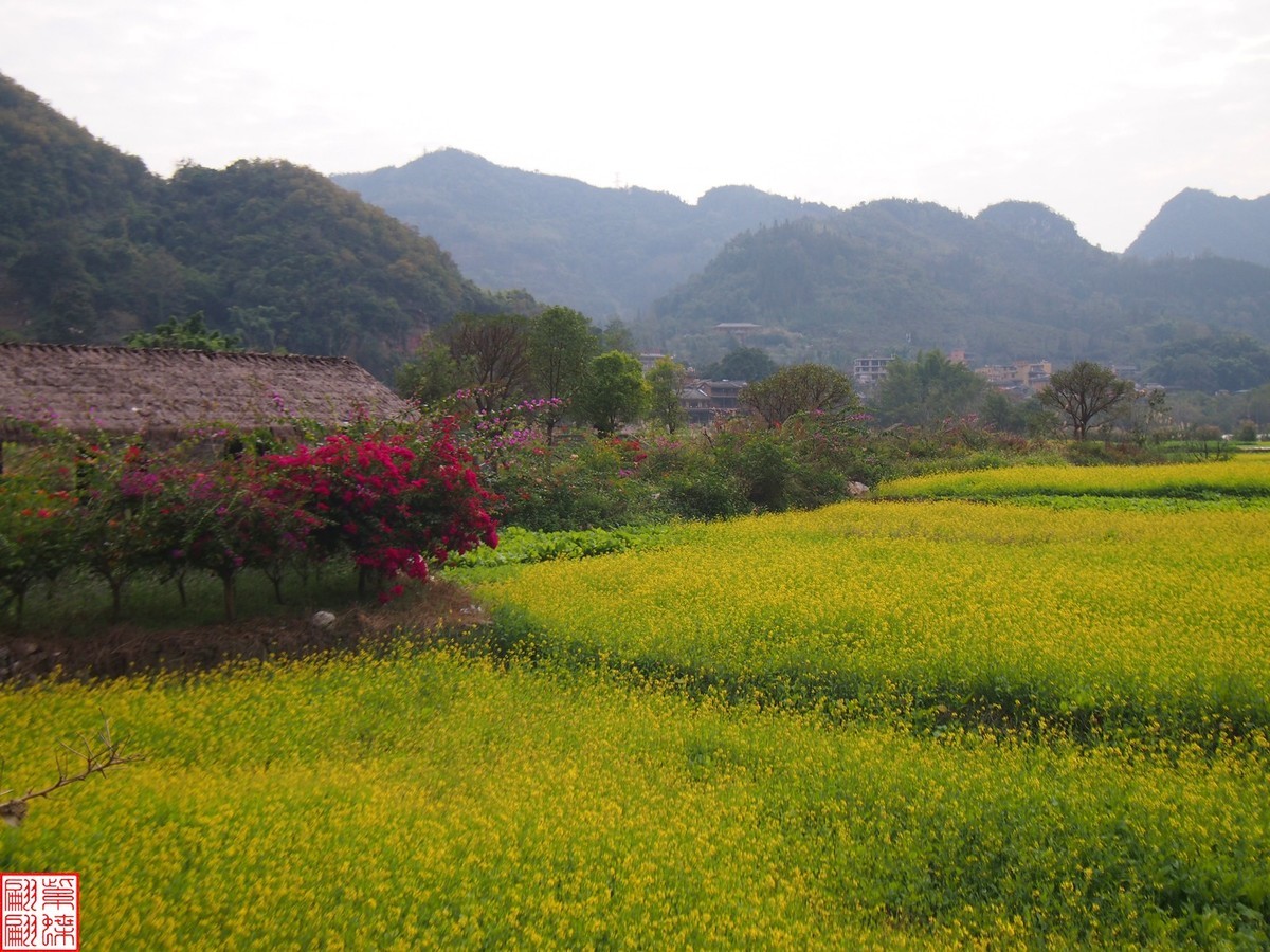 2023.12.22坝美随拍（12）