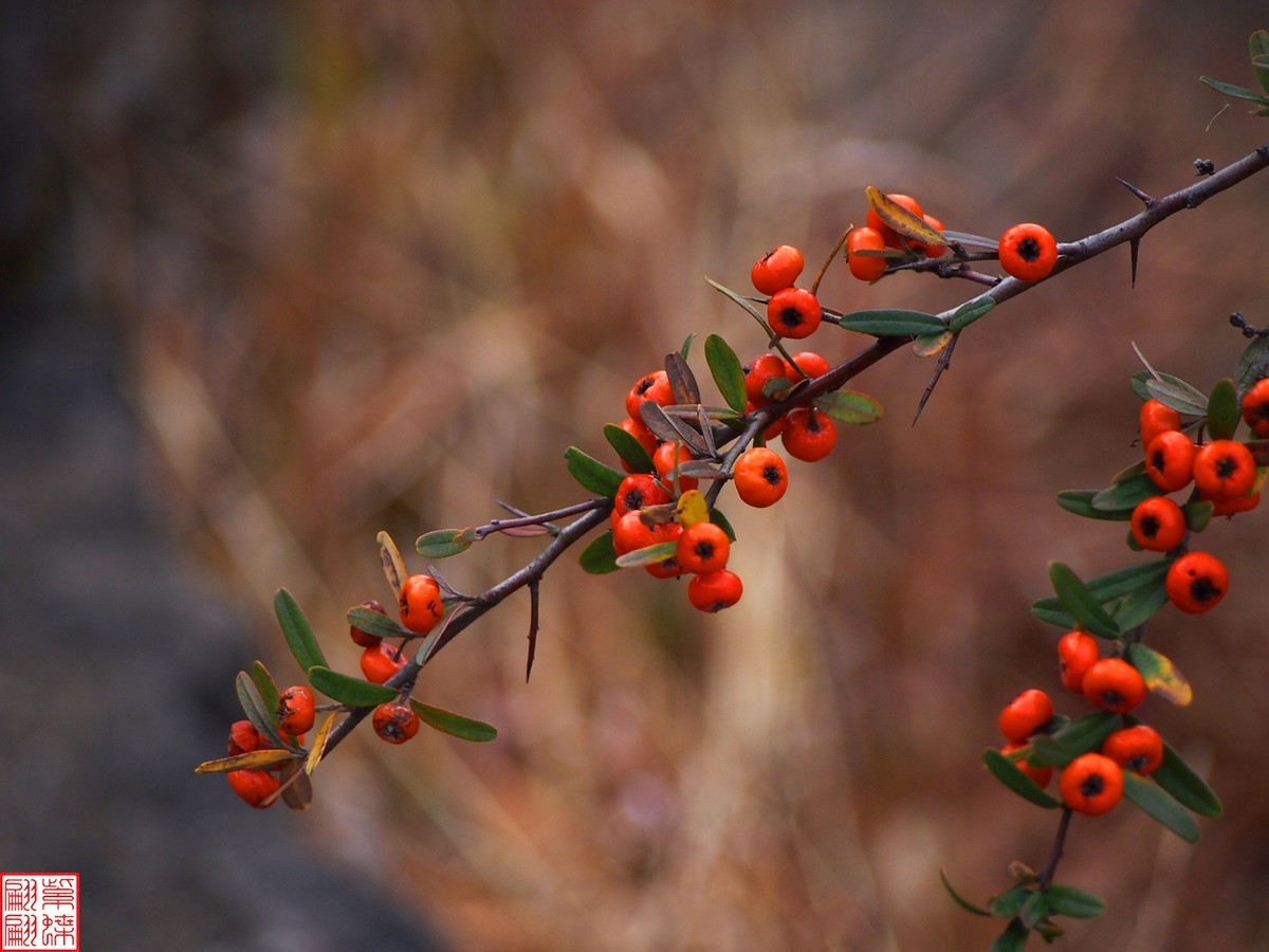 珠江源随拍（6）