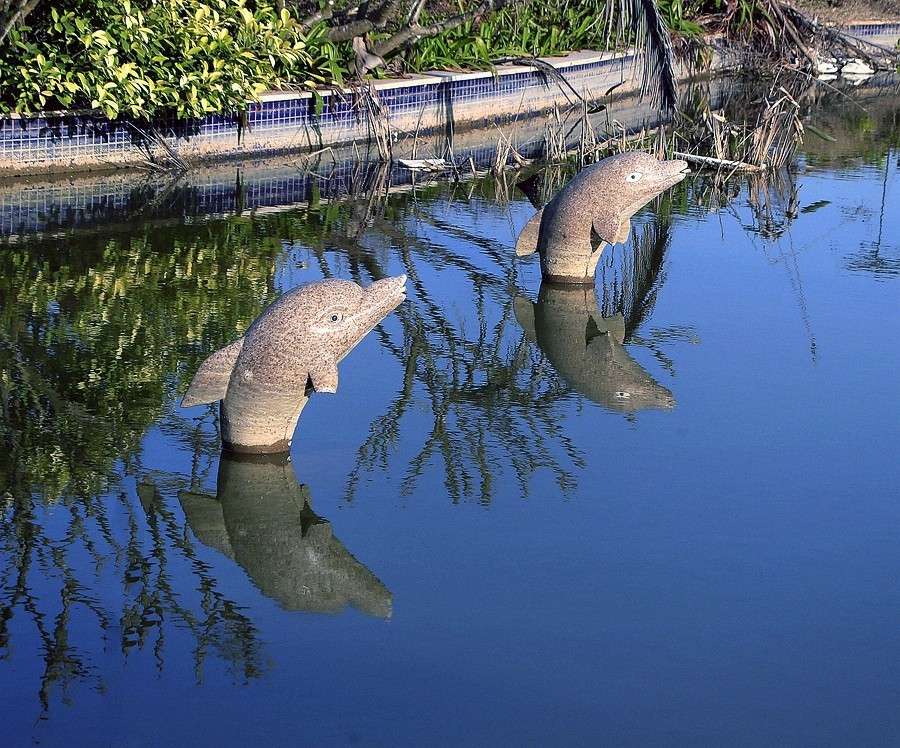 《不老松：忆海南游记》(23)海南长島蓝湾游泳池边！