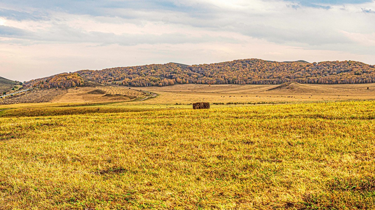 行走在--坝上草原【14】