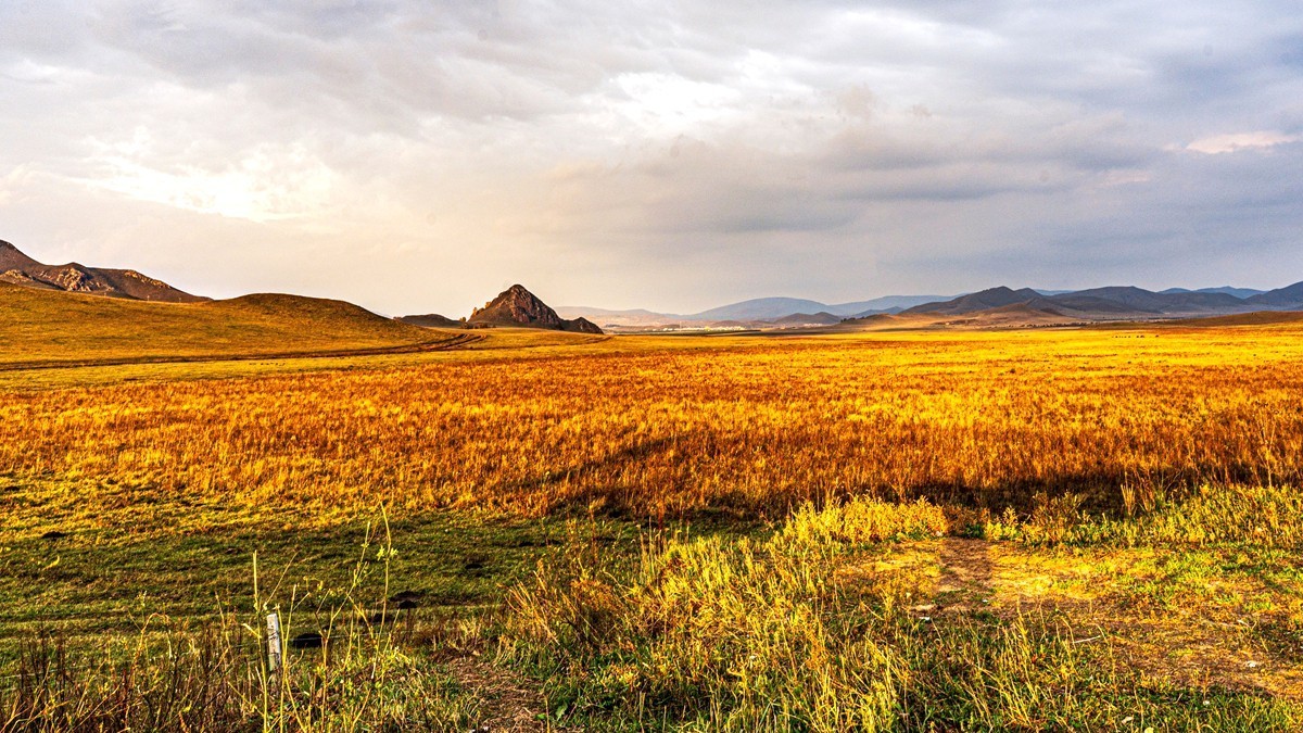 行走在--坝上草原【14】