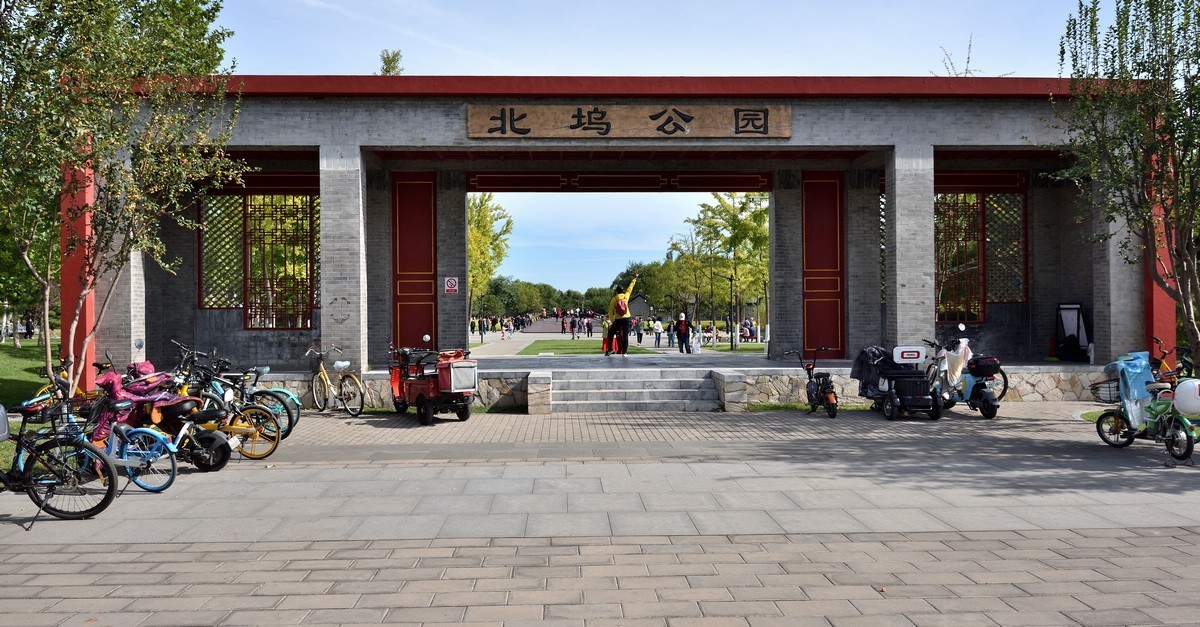 满园京西稻米飘香，远比各种花海强许多------北坞公园3/3