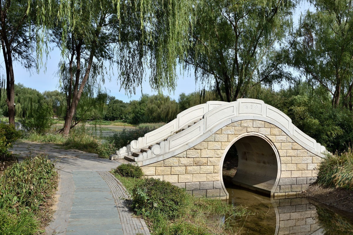 满园京西稻米飘香，远比各种花海强许多------北坞公园3/3