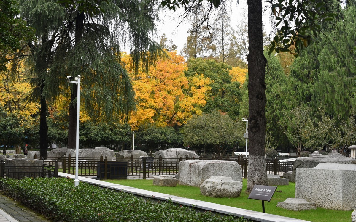 秋季应景要做的功课