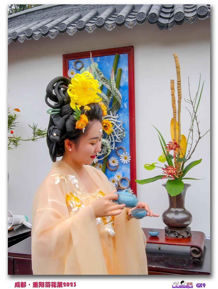 2023成都菊花展掠影(B)(内有美女哦)