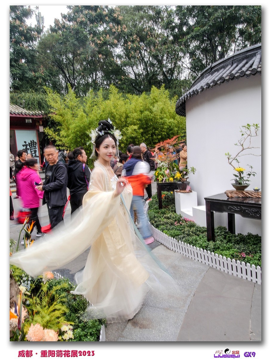 2023成都菊花展掠影(B)(内有美女哦)