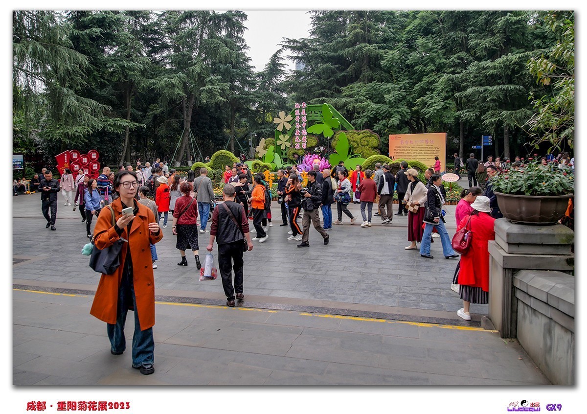 2023成都菊花展掠影(B)(内有美女哦)