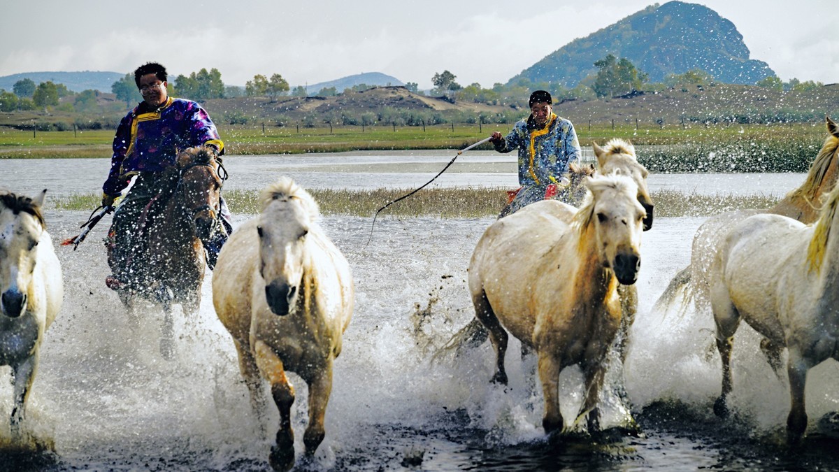 坝上草原飞马踏浪