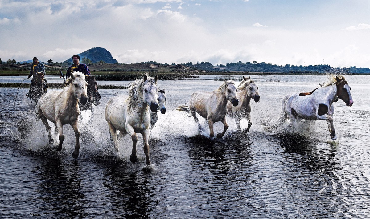 坝上草原飞马踏浪