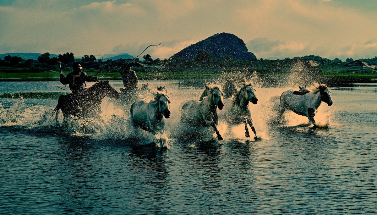 坝上草原飞马踏浪