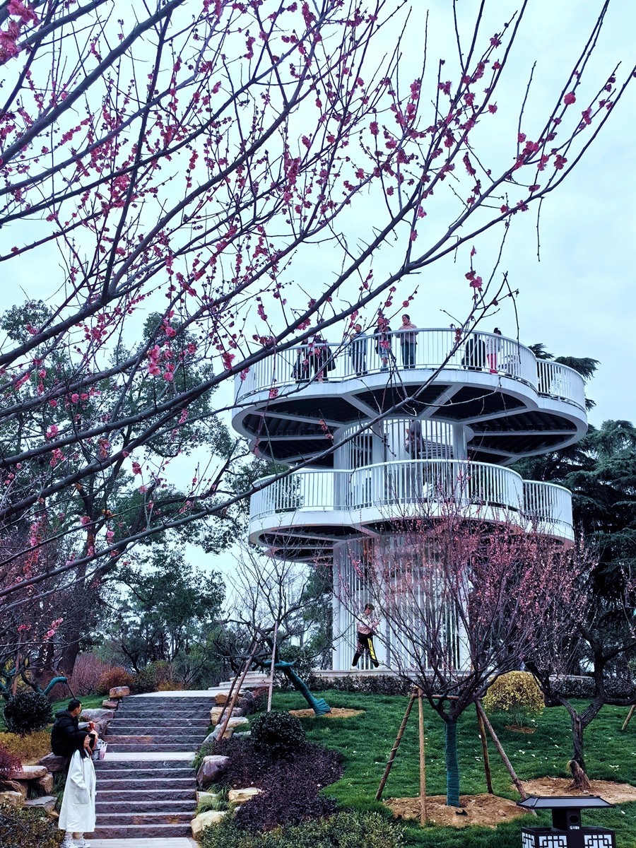 梅园清韵——武汉随笔