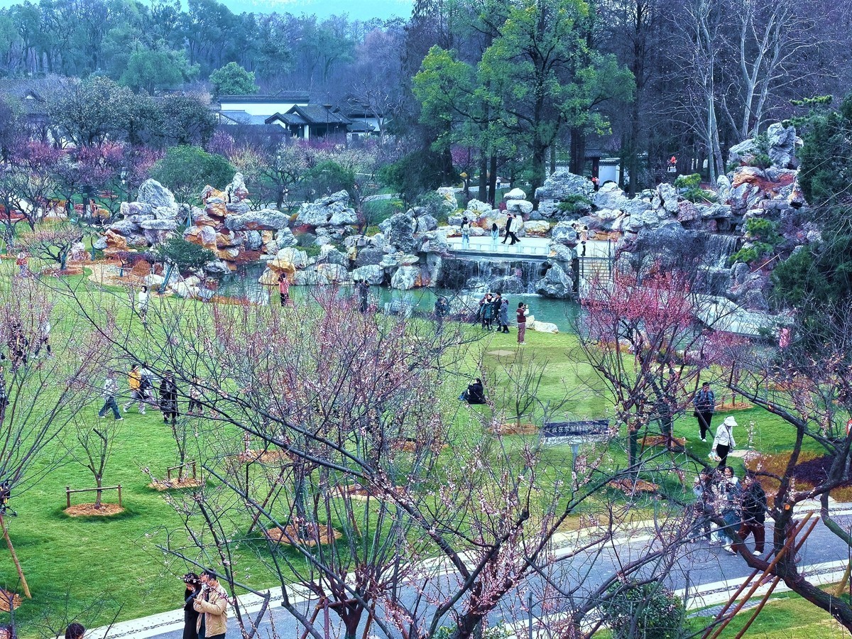 梅园清韵——武汉随笔