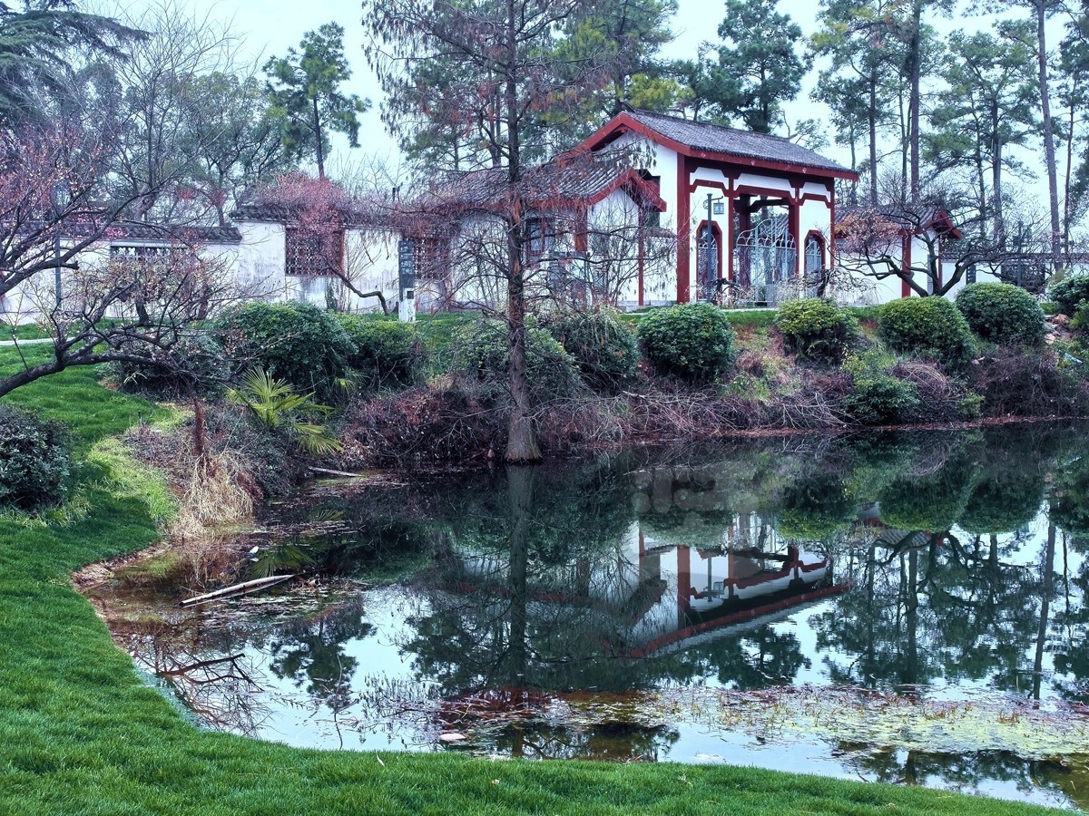 暗香冷艳*梅园——武汉随笔