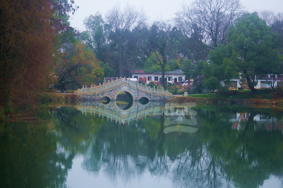 暗香冷艳*梅园——武汉随笔