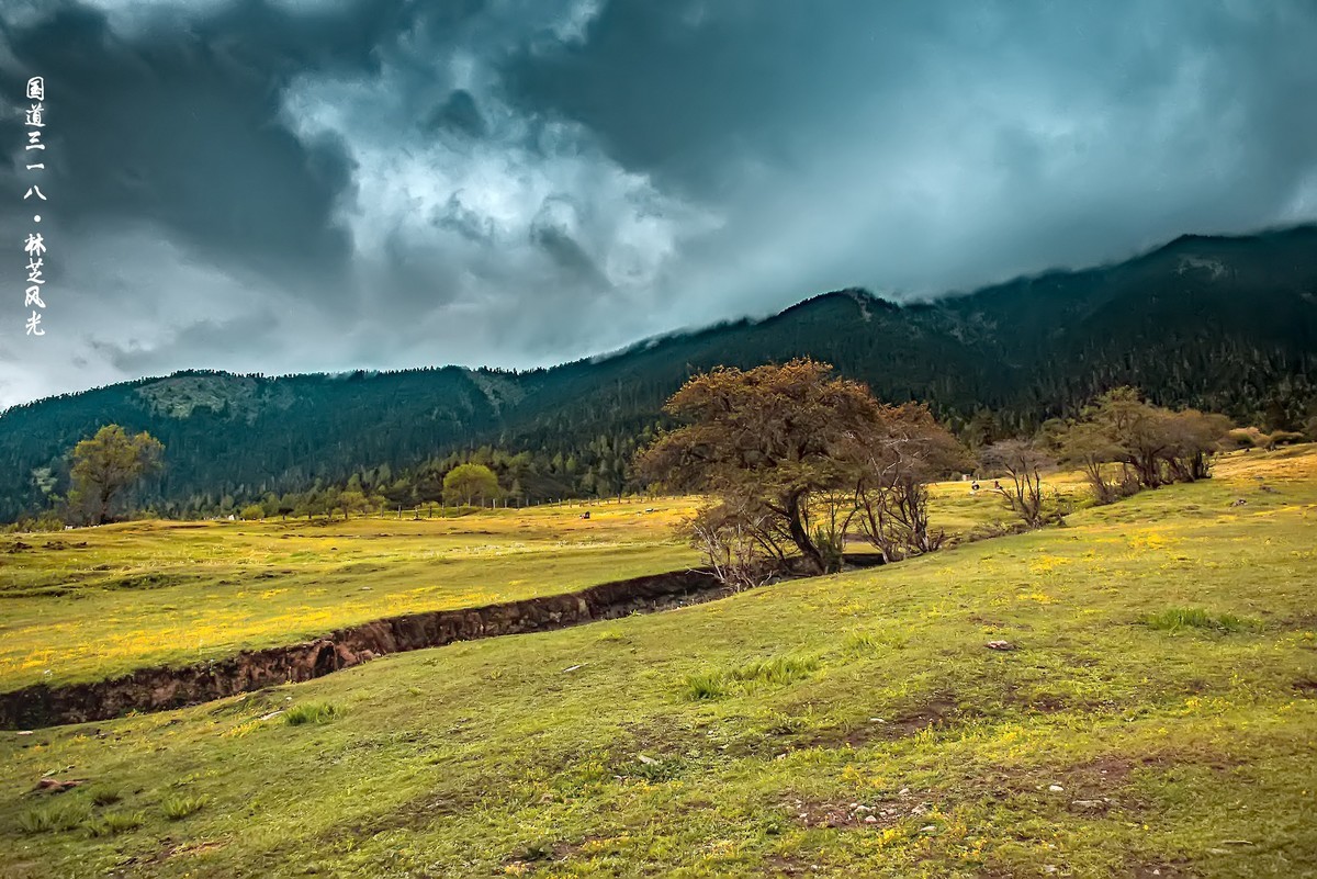 国道三一八 · 林芝风光（3）