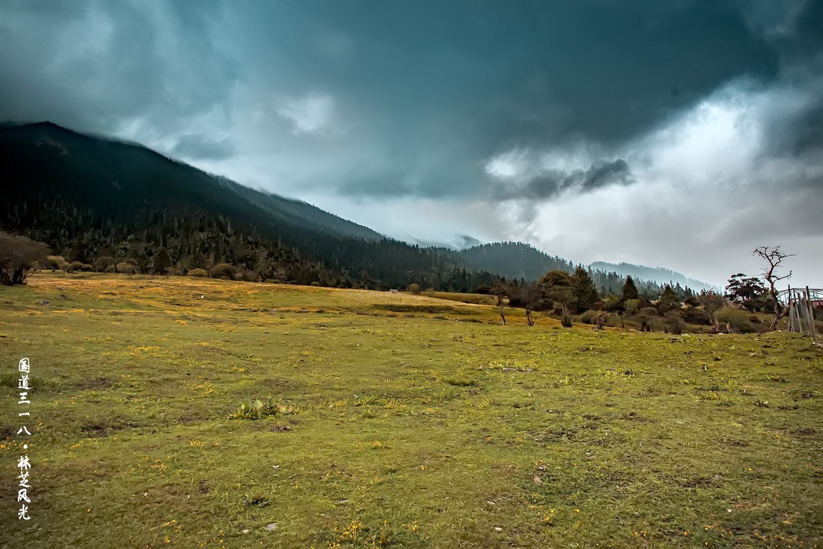 国道三一八 · 林芝风光（3）