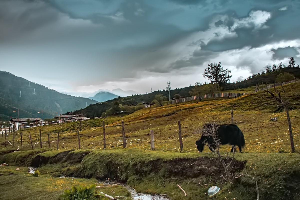 国道三一八 · 林芝风光（3）