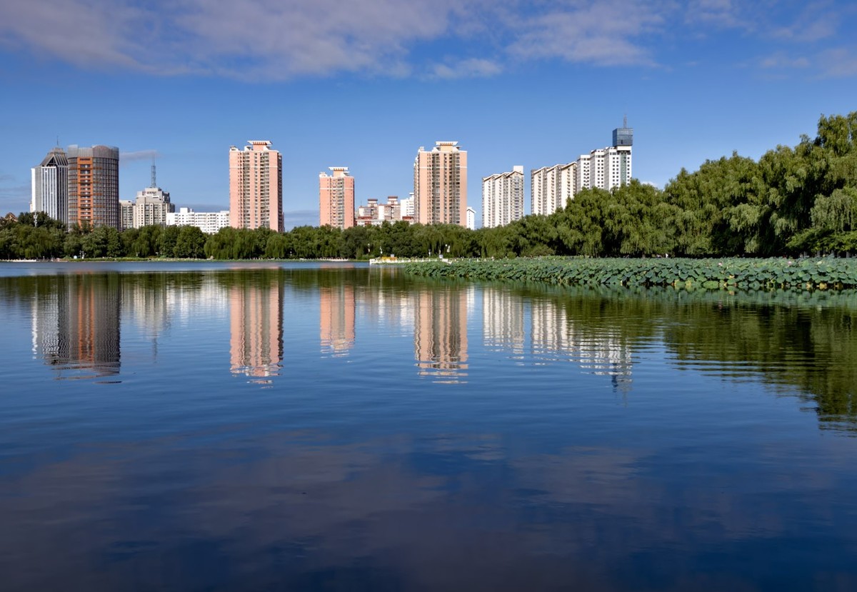 莲花池公园（3）--销假帖