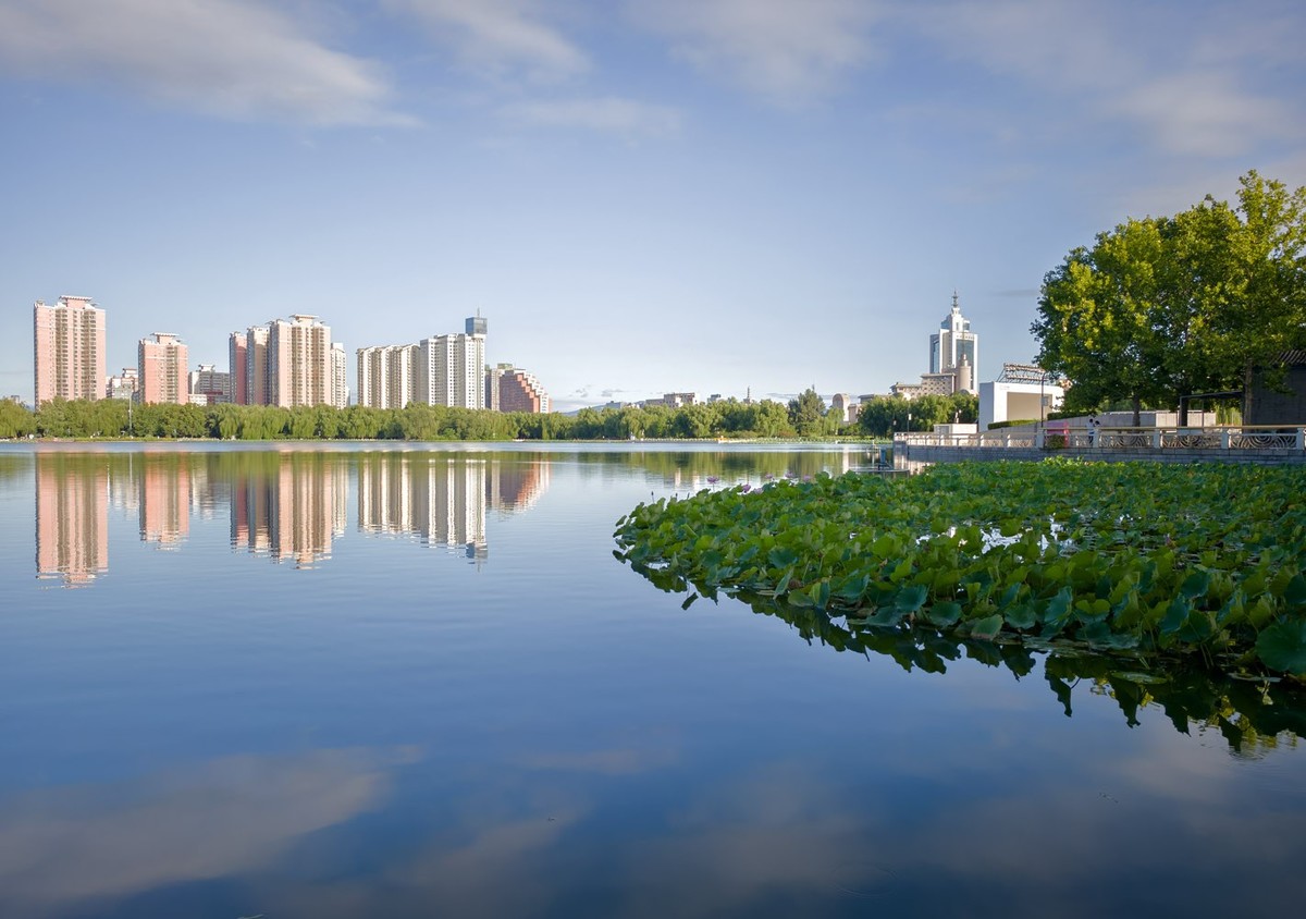 莲花池公园（3）--销假帖