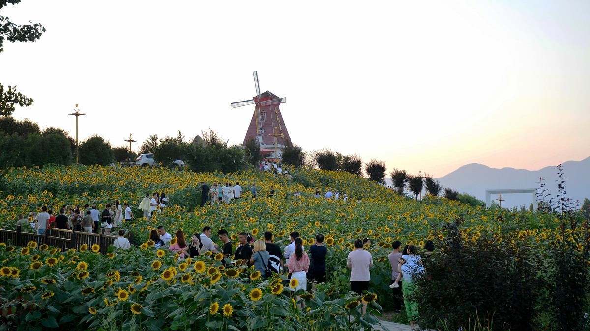 夕阳下的皇塘（2024220）