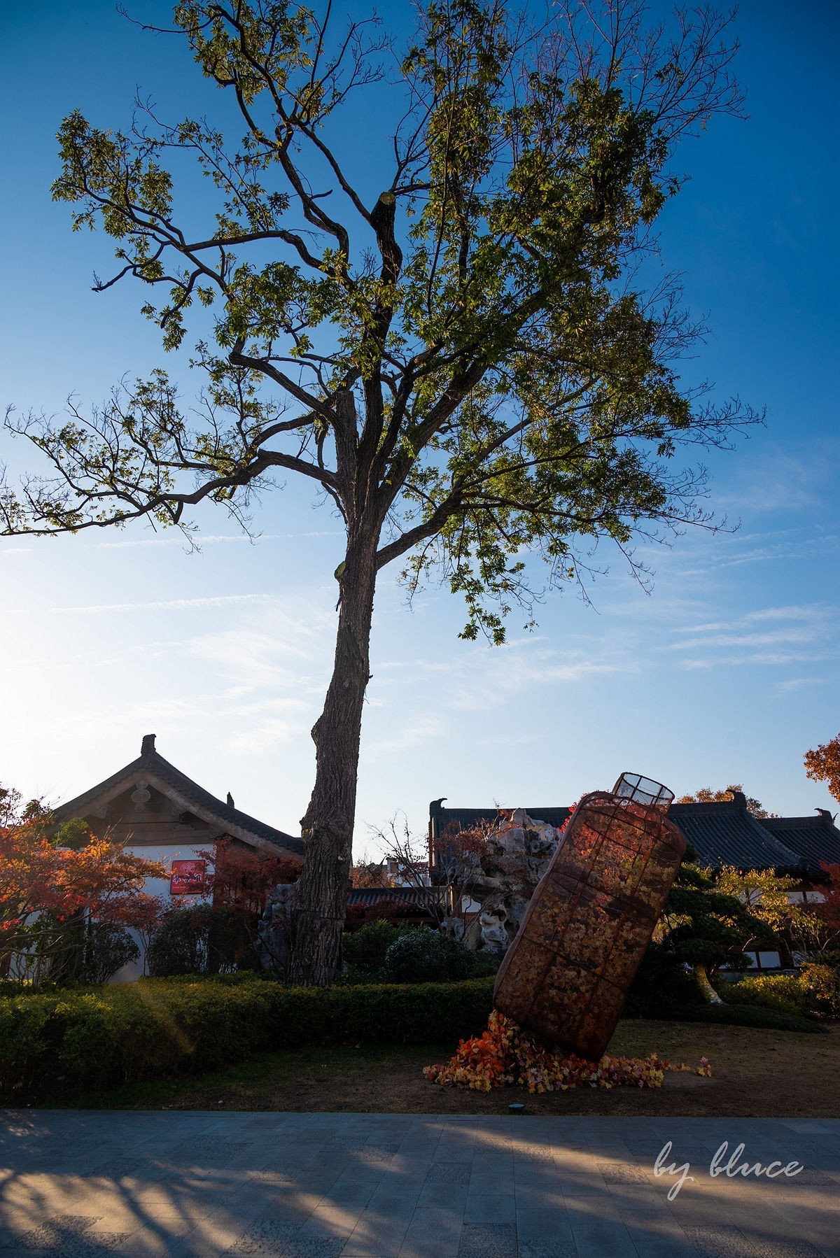 栖霞红枫盛（一）