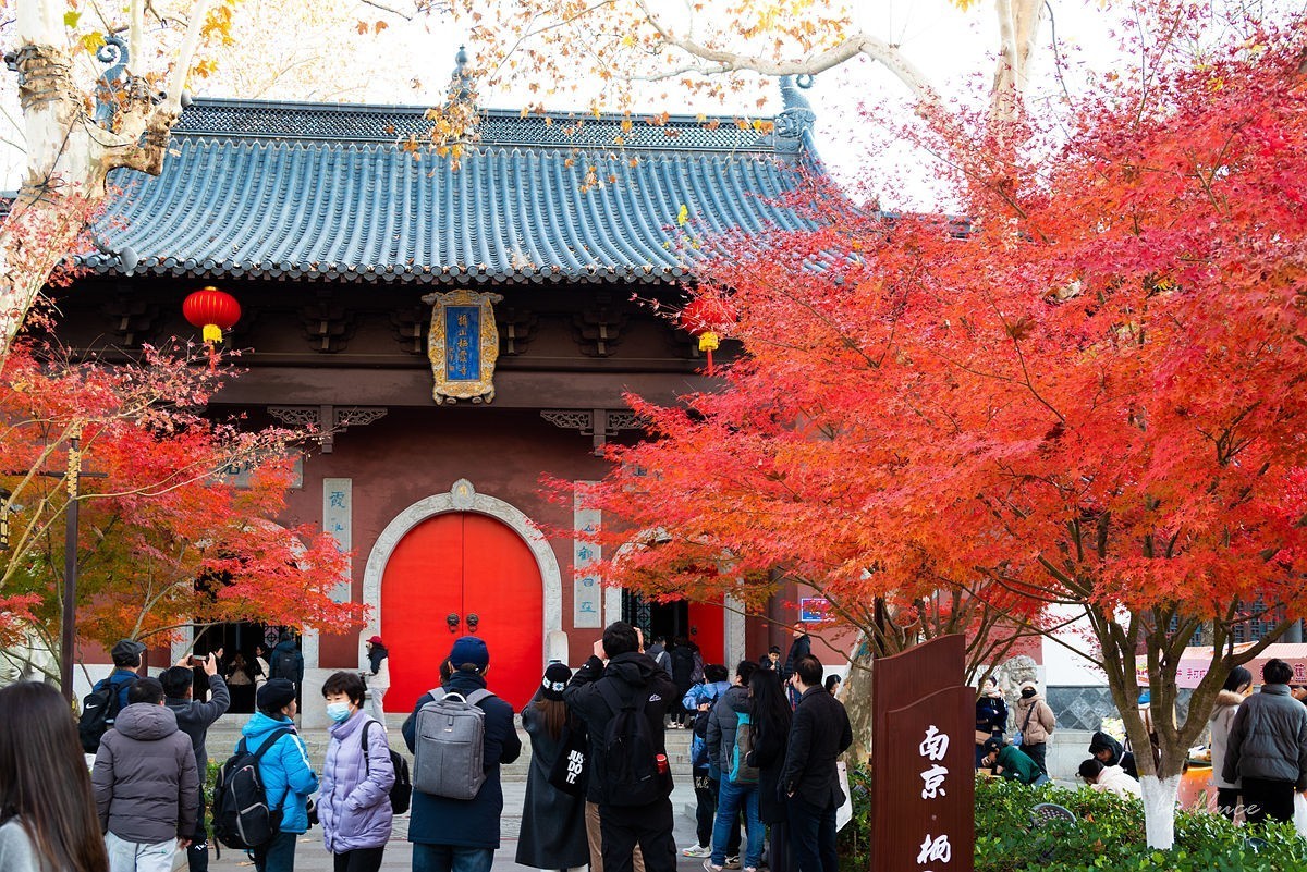 栖霞红枫盛（一）