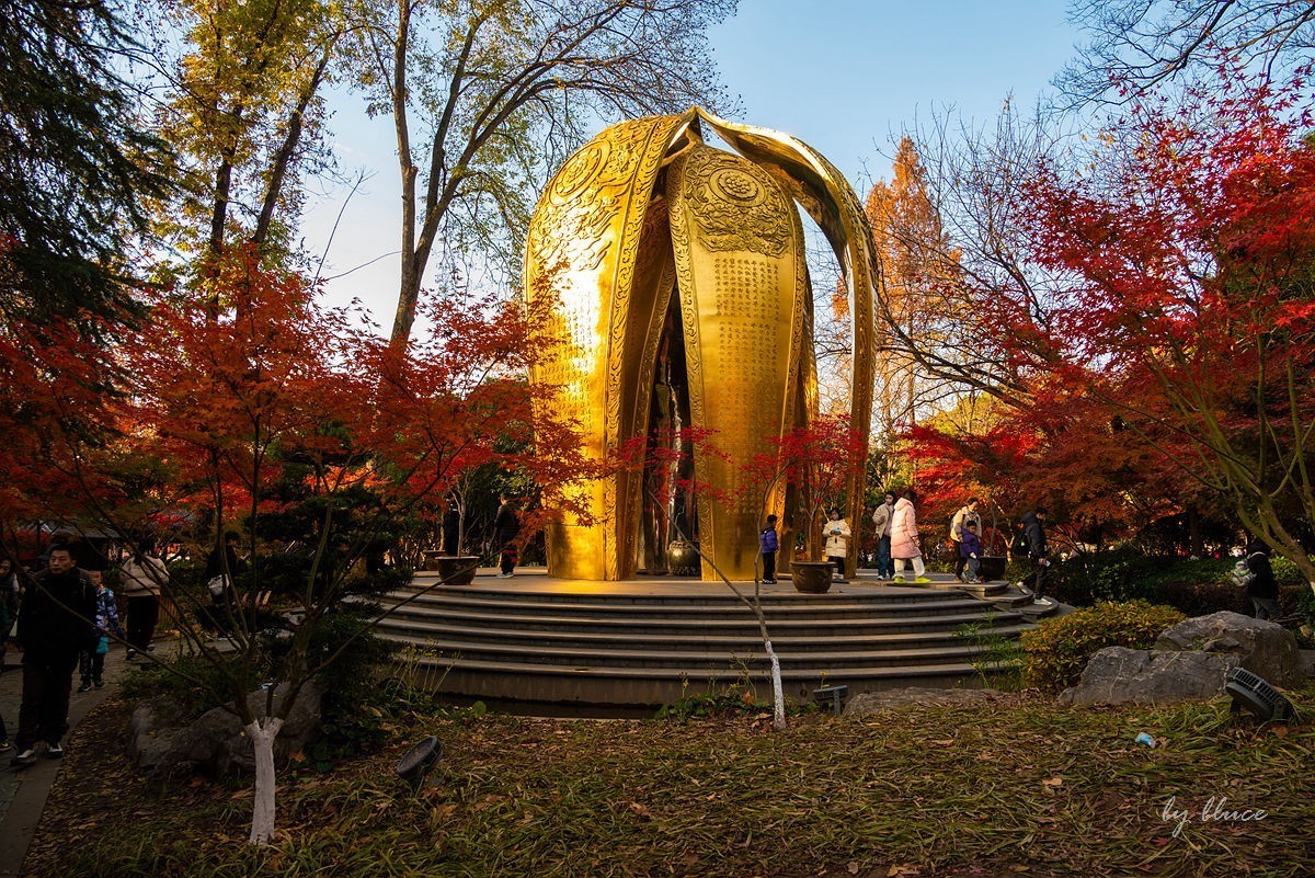 栖霞红枫盛（一）