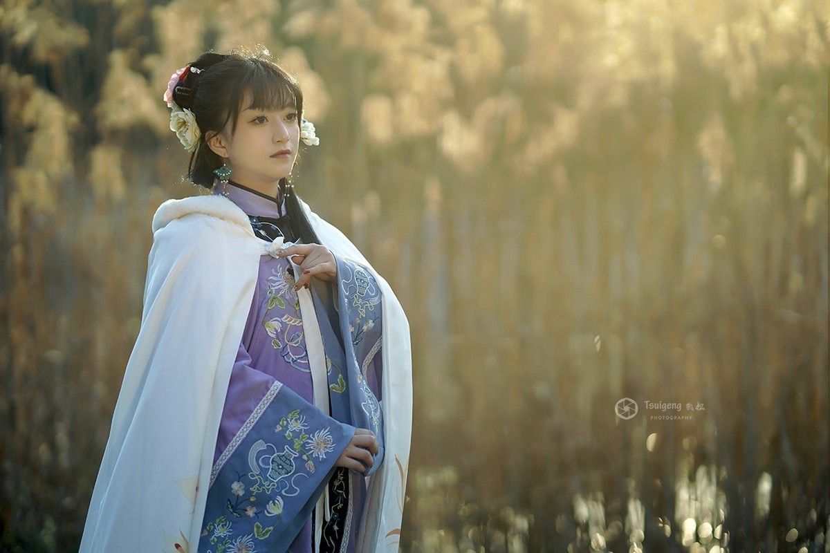 芦苇萧萧吹晚风
