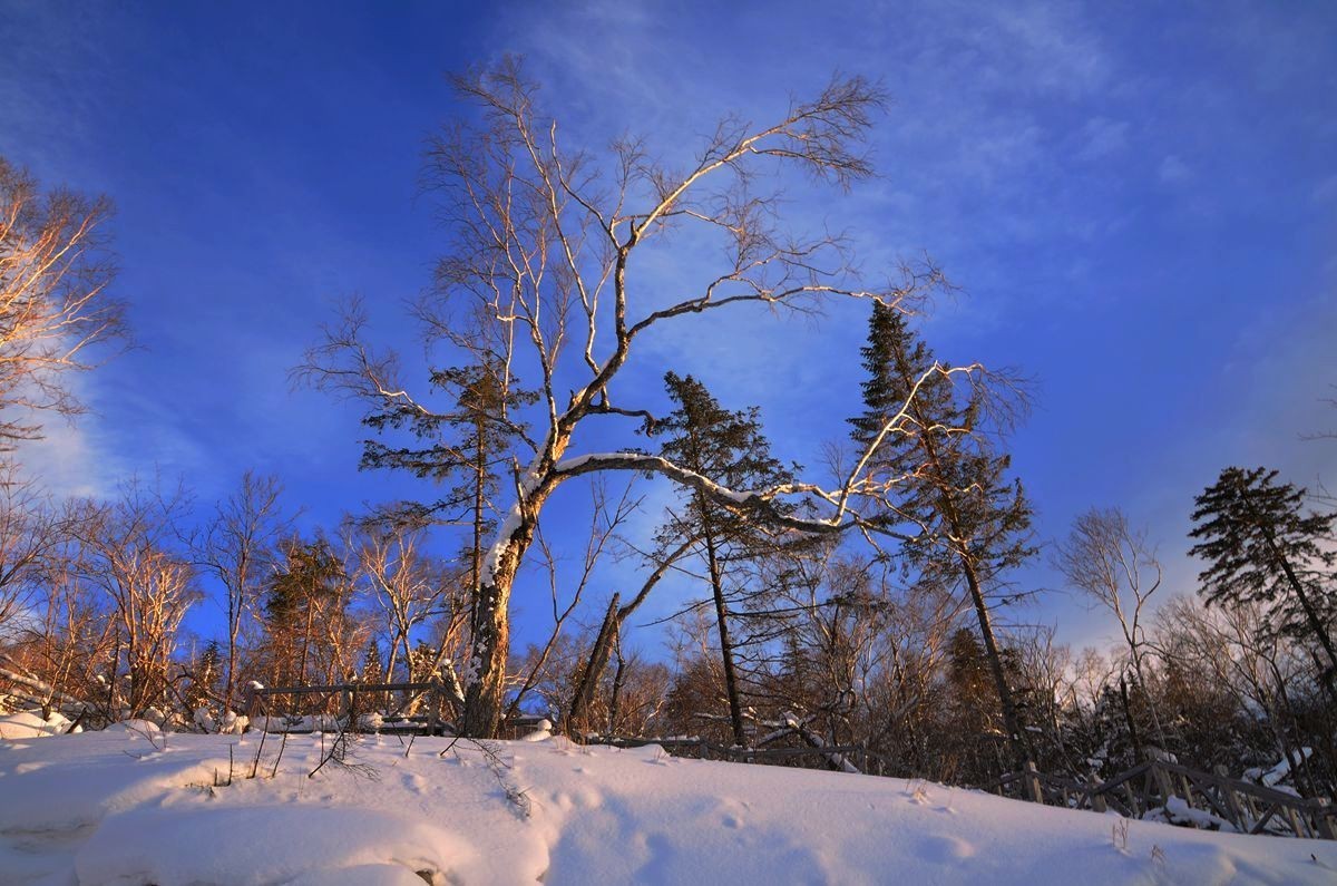 亚布力——二浪河雪乡游拍（9）