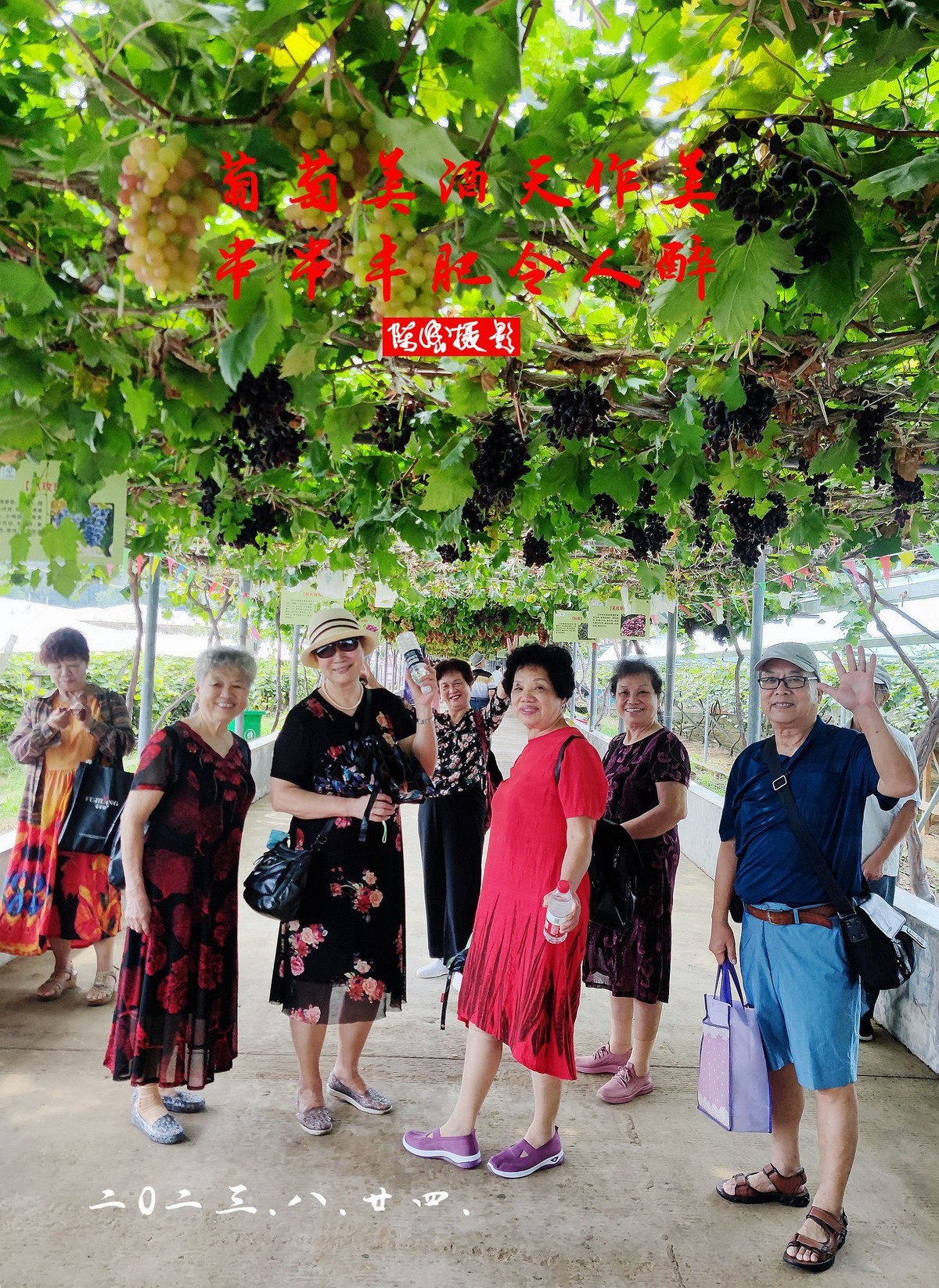 老同学游葡萄园            二0二三.十.廿六.发表