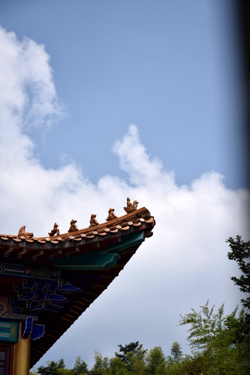 漫步星城 走街串巷（378）紫竹山开元寺