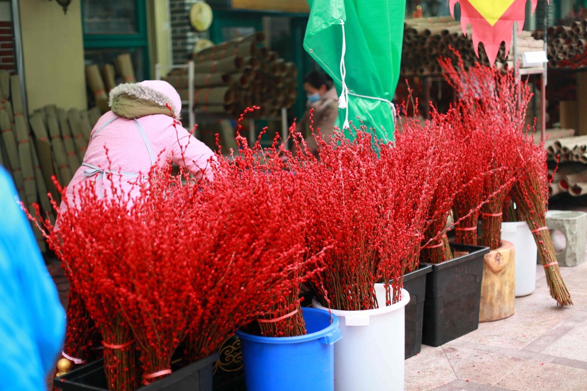 2024年拍花枝招展