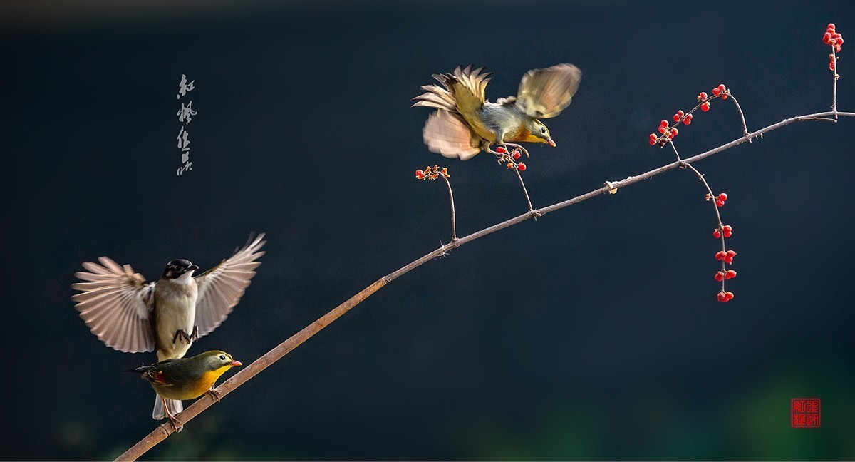 老片子 . 咔嚓瞬间系列