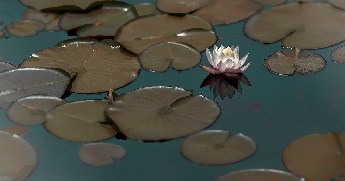 老片子 . 咔嚓瞬间系列