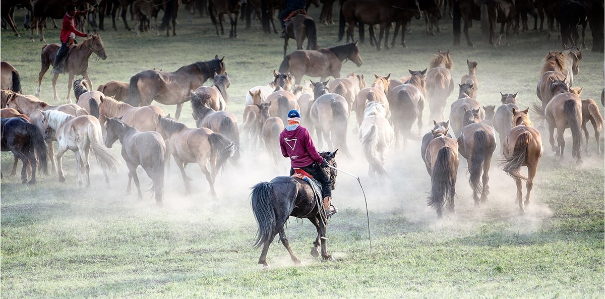 老片子 . 咔嚓瞬间系列