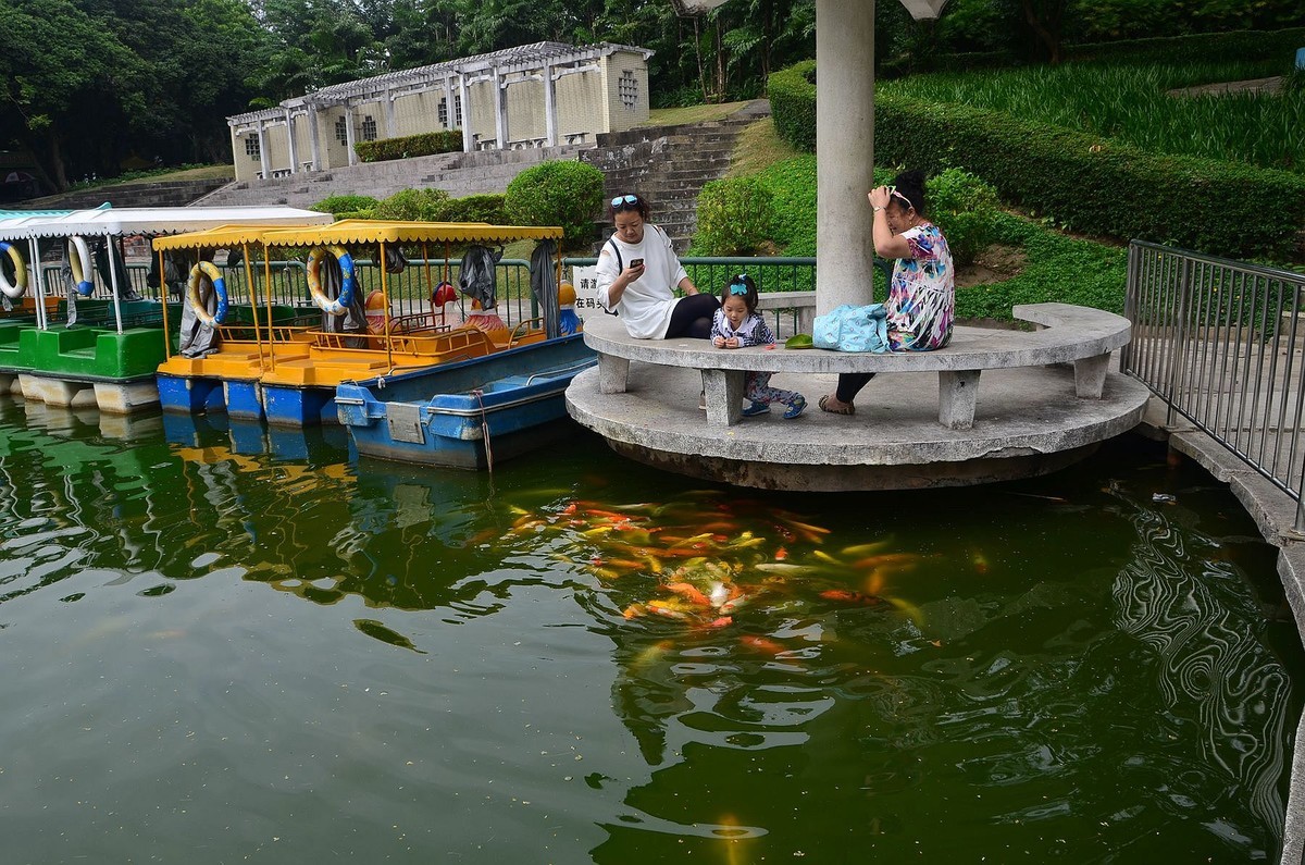回忆片——中山紫马岭游记（7）