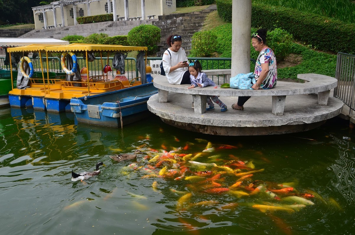 回忆片——中山紫马岭游记（7）