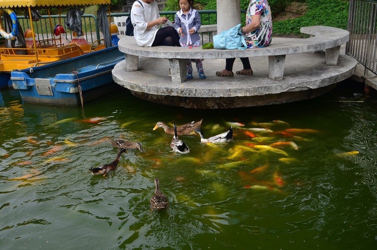 回忆片——中山紫马岭游记（7）