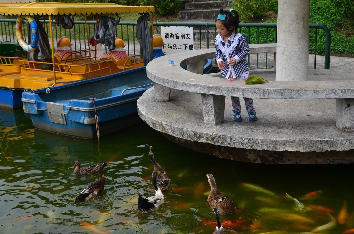 回忆片——中山紫马岭游记（7）
